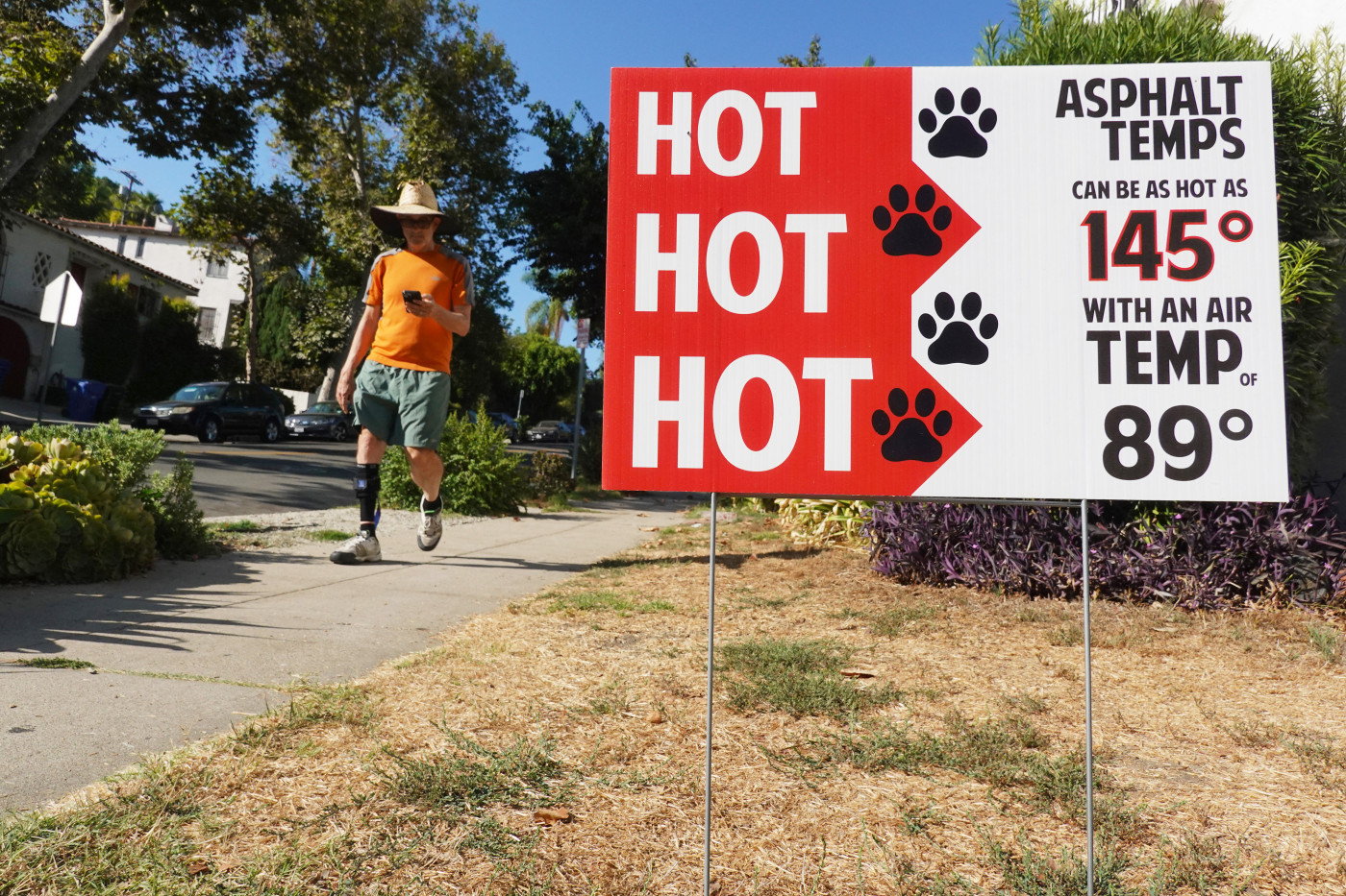 Record summer temperatures set world on course for hottest year ever